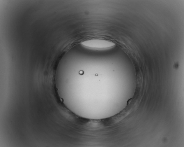 X0000103420280200809121019