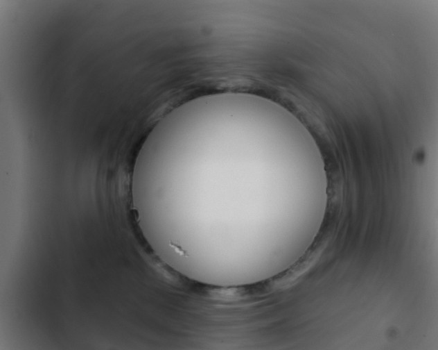 X0000103420281200809121019