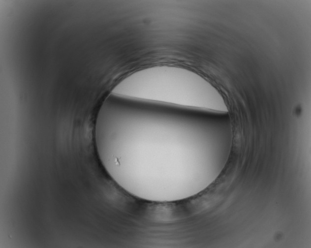 X0000103420282200809121019