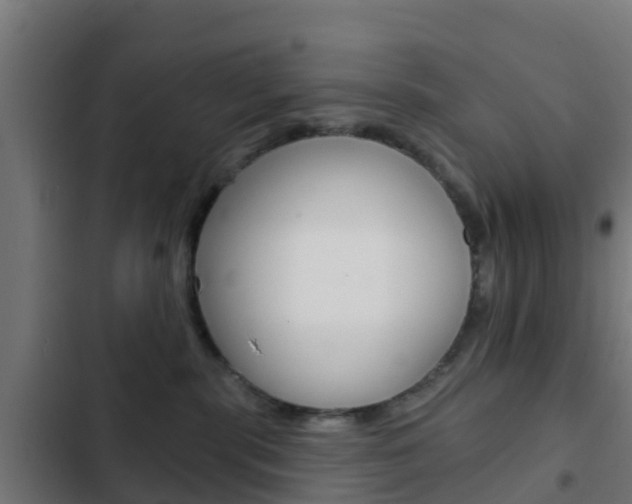 X0000103420283200809121019