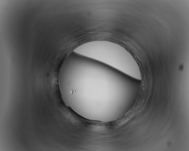 X0000103420284200809121020