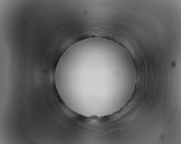 X0000103420285200809121020