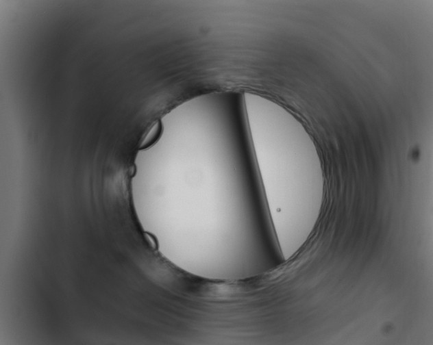 X0000103420286200809121020