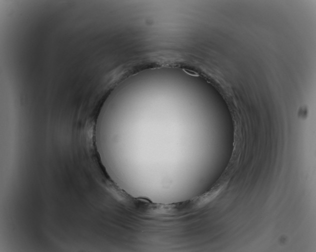 X0000103420288200809121020