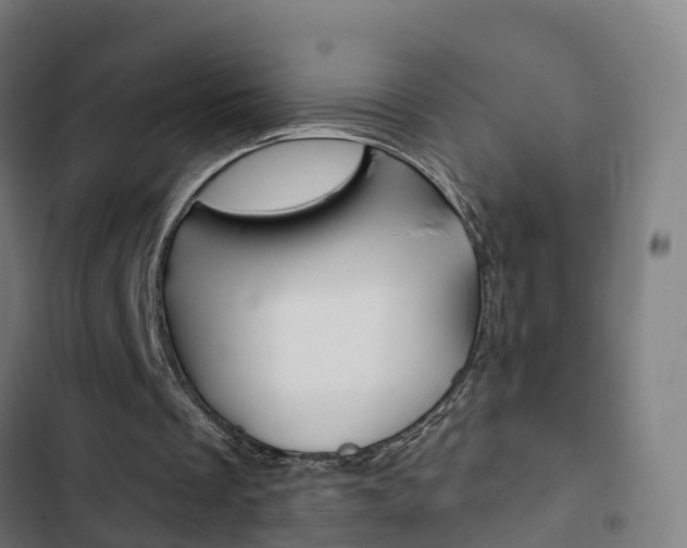 X0000103420289200809121019