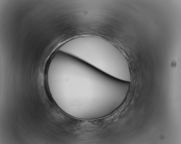 X0000103420290200809121019