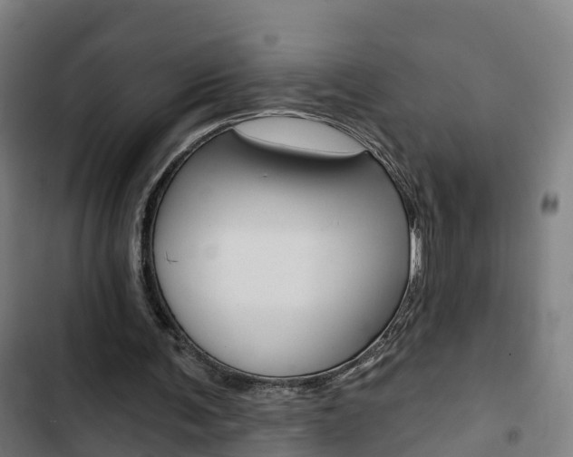 X0000103420291200809121019