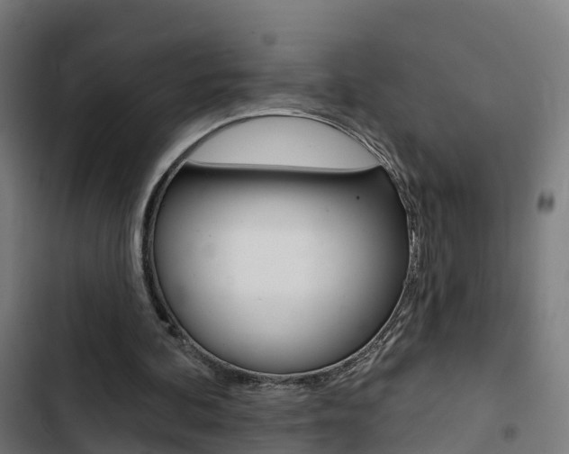 X0000103420292200809121019