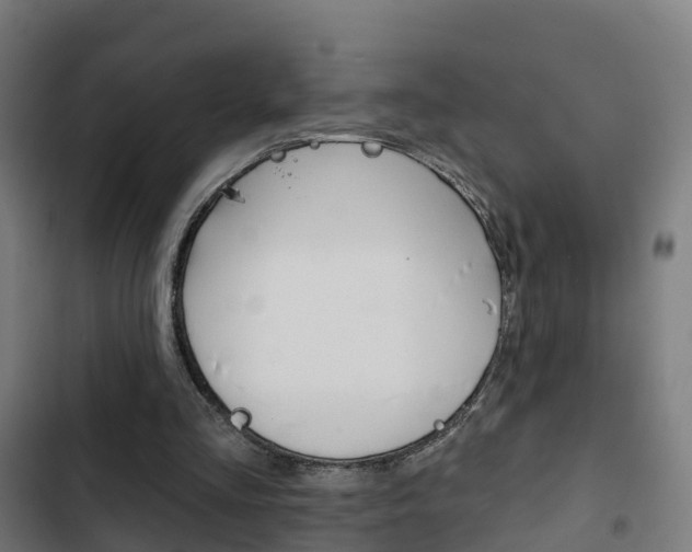 X0000103420293200809121019