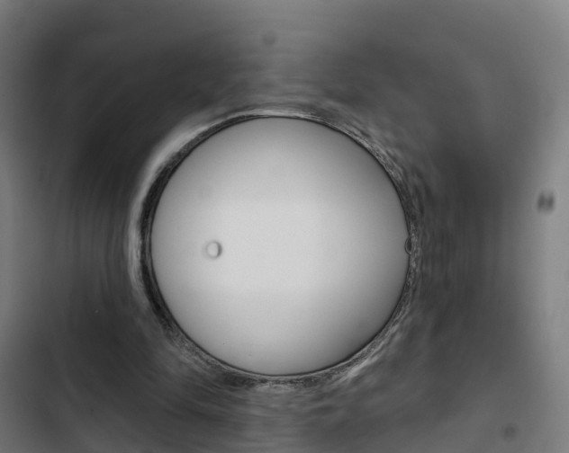 X0000103420294200809121019