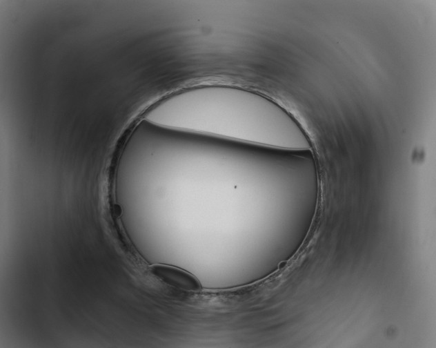 X0000103420297200809121019