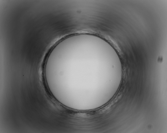 X0000103420298200809121019