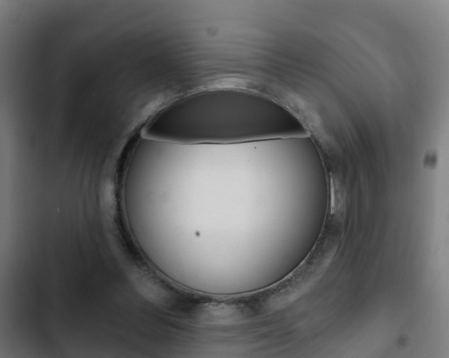 X0000103420300200809121019