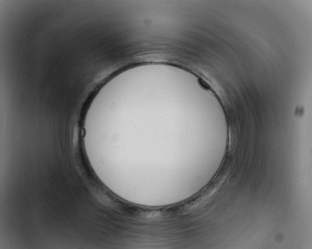 X0000103420301200809121019