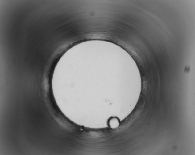 X0000103420302200809121019