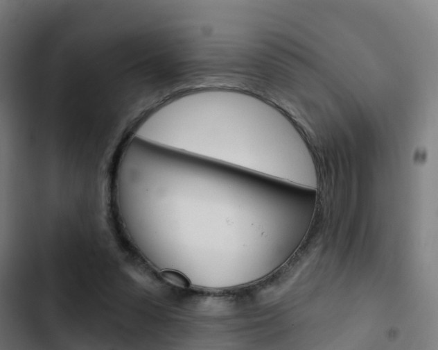 X0000103420303200809121019