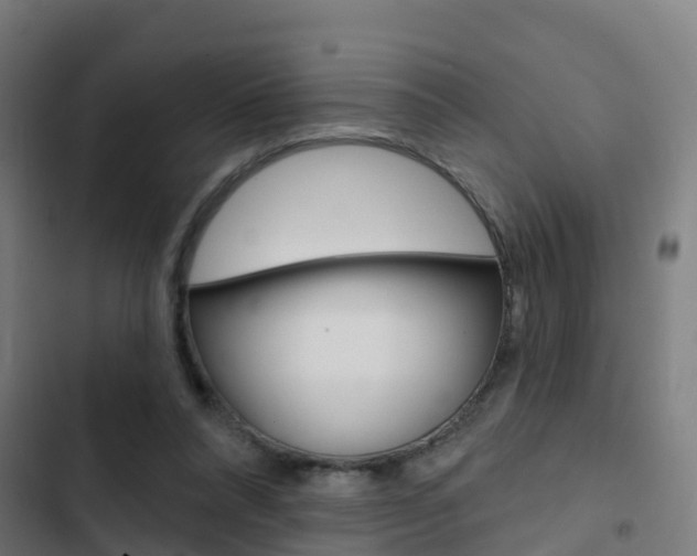 X0000103420304200809121019