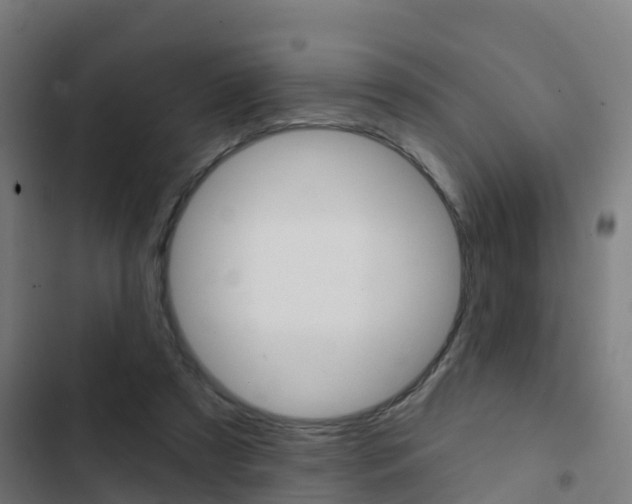 X0000103420305200809121019