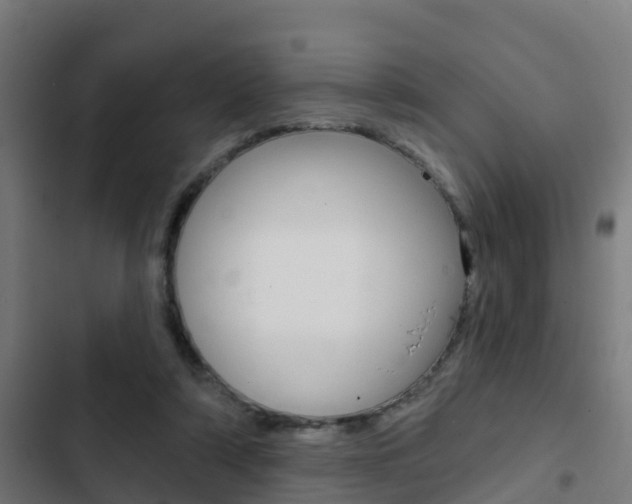 X0000103420306200809121019