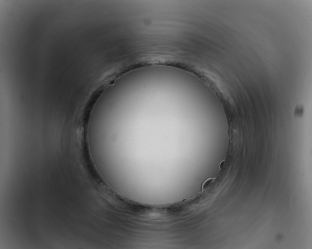 X0000103420308200809121019