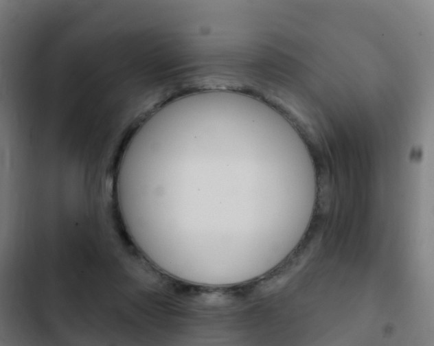 X0000103420310200809121019