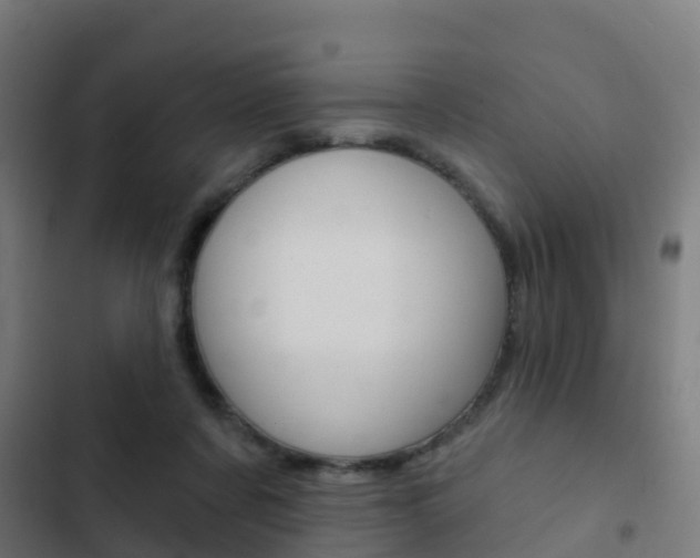 X0000103420311200809121019