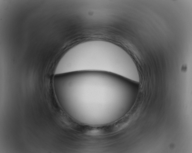 X0000103420312200809121019