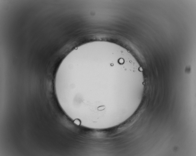 X0000103420313200809121018