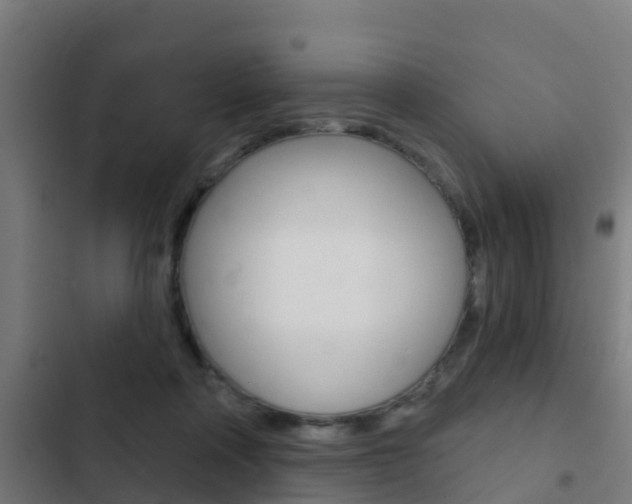 X0000103420314200809121018