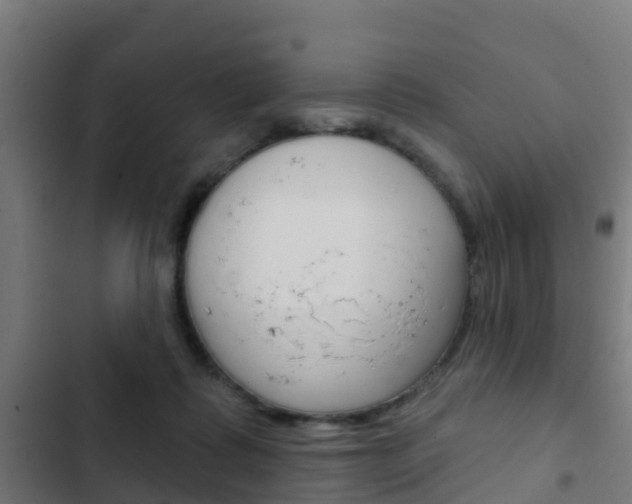 X0000103420315200809121018