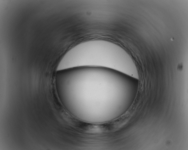 X0000103420316200809121018