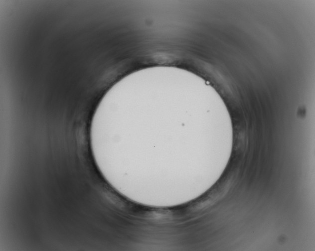 X0000103420317200809121018