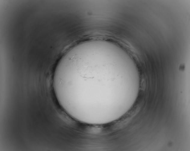 X0000103420318200809121018