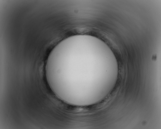 X0000103420319200809121018