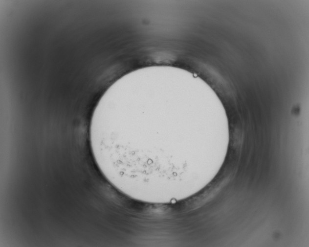 X0000103420321200809121018