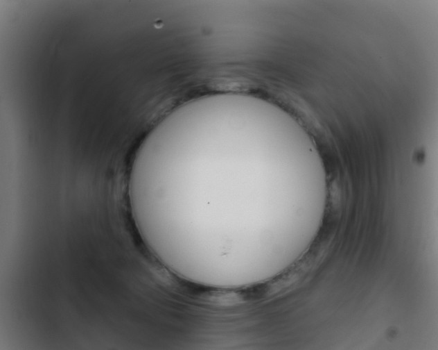 X0000103420322200809121018