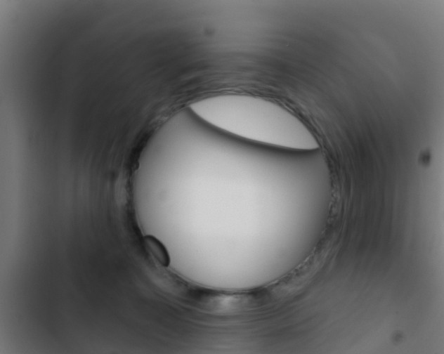 X0000103420323200809121018