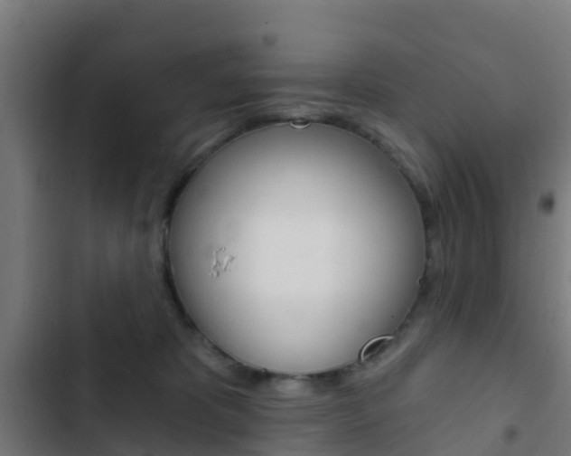 X0000103420325200809121018