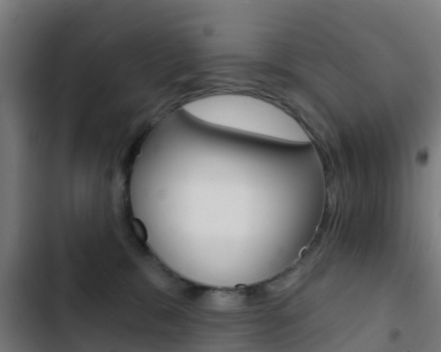 X0000103420327200809121018