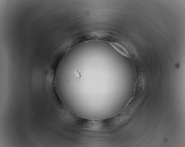 X0000103420328200809121018