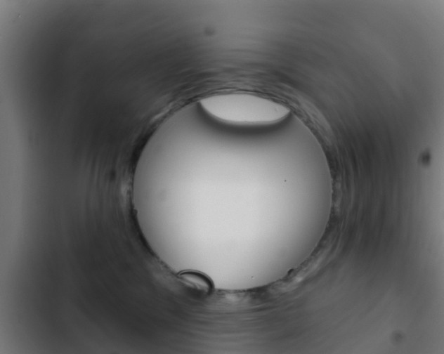 X0000103420329200809121018