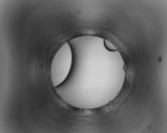 X0000103420330200809121018