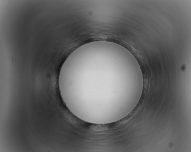 X0000103420331200809121018