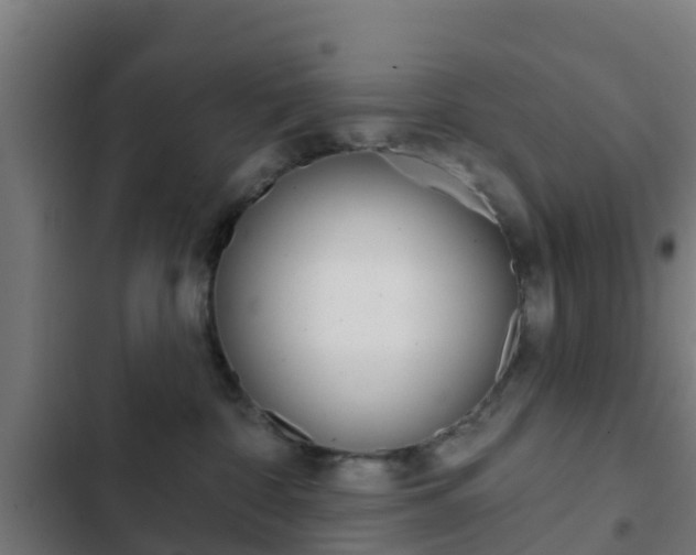 X0000103420332200809121018