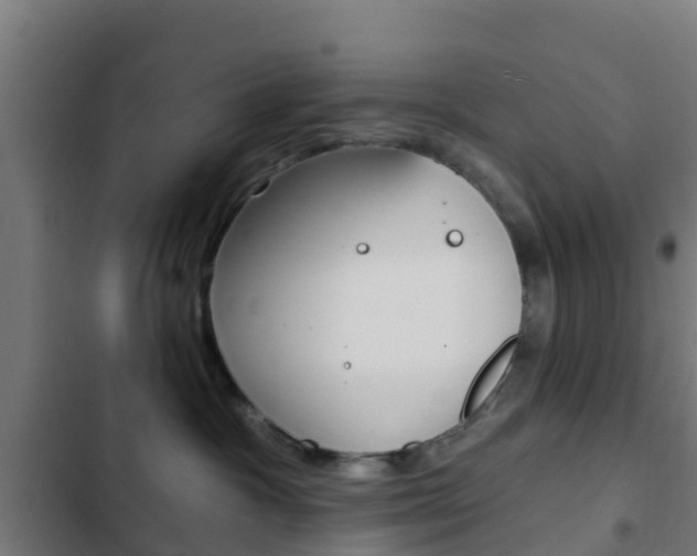 X0000103420333200809121018