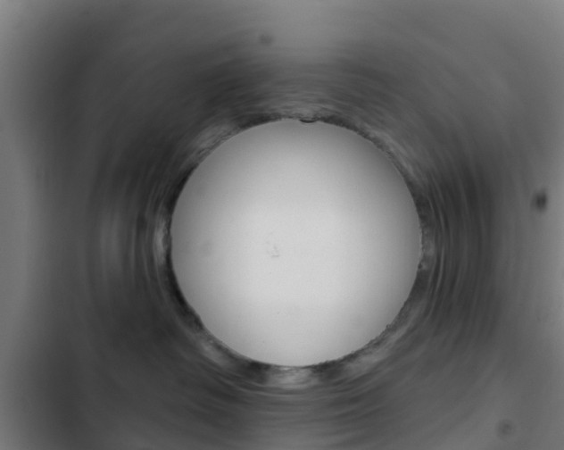 X0000103420334200809121018