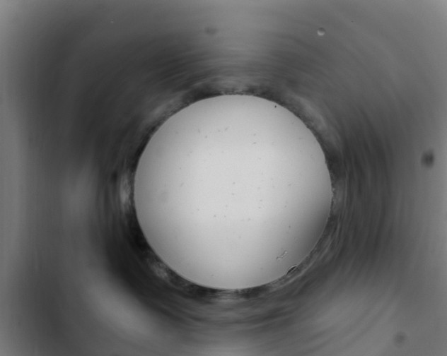 X0000103420335200809121018