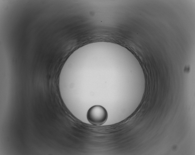 X0000103420336200809121018