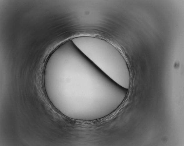 X0000103420337200809121017