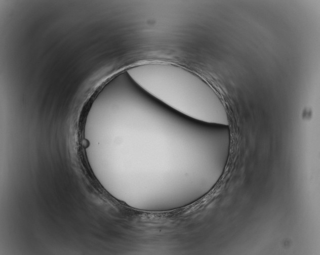 X0000103420338200809121017